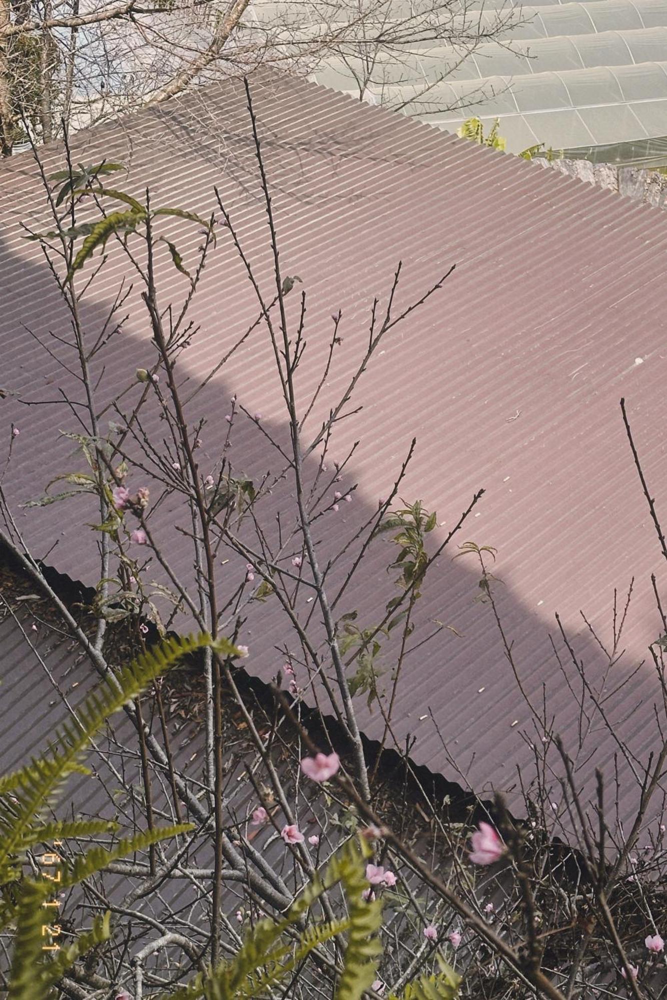 Hong Nhan Hotel Dalat Exterior foto